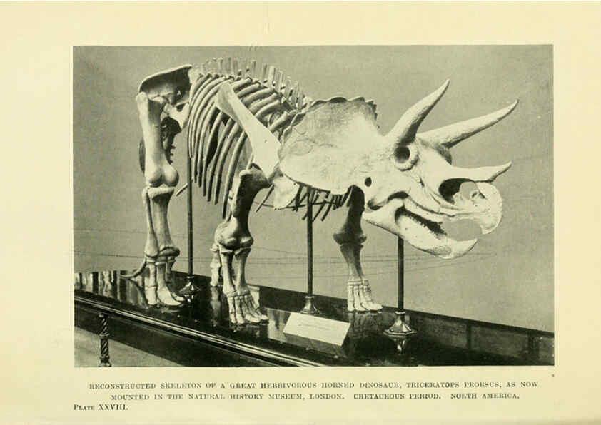 Reproducción/Reproduction 6288297455: Extinct monsters and creatures of other days London :Chapman & Hall,1910