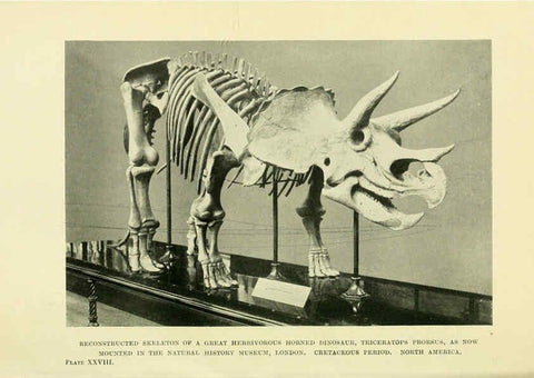 Reproducción/Reproduction 6288297455: Extinct monsters and creatures of other days London :Chapman & Hall,1910