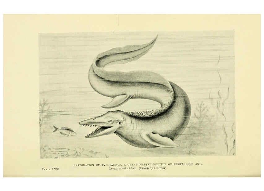 Reproducción/Reproduction 6288297885: Extinct monsters and creatures of other days London :Chapman & Hall,1910