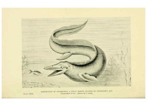 Reproducción/Reproduction 6288297885: Extinct monsters and creatures of other days London :Chapman & Hall,1910