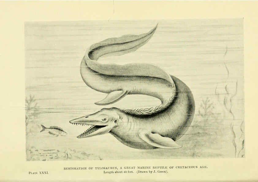 Reproducción/Reproduction 6288297885: Extinct monsters and creatures of other days London :Chapman & Hall,1910