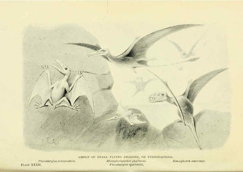 Reproducción/Reproduction 6288298089: Extinct monsters and creatures of other days London :Chapman & Hall,1910