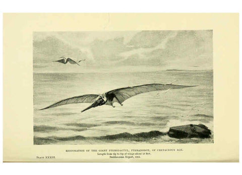 Reproducción/Reproduction 6288818566: Extinct monsters and creatures of other days London :Chapman & Hall,1910