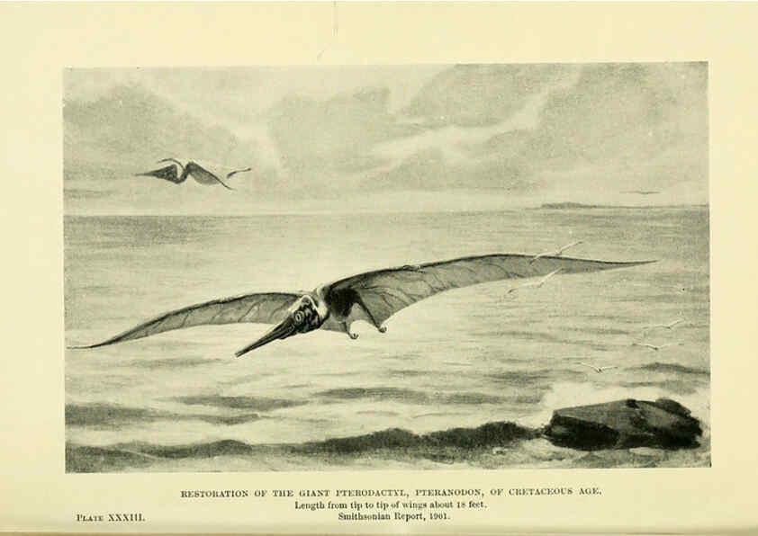 Reproducción/Reproduction 6288818566: Extinct monsters and creatures of other days London :Chapman & Hall,1910