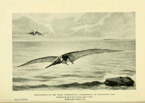 Reproducción/Reproduction 6288818566: Extinct monsters and creatures of other days London :Chapman & Hall,1910