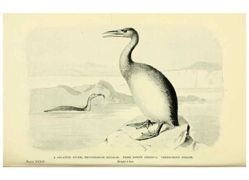 Reproducción/Reproduction 6288298483: Extinct monsters and creatures of other days London :Chapman & Hall,1910