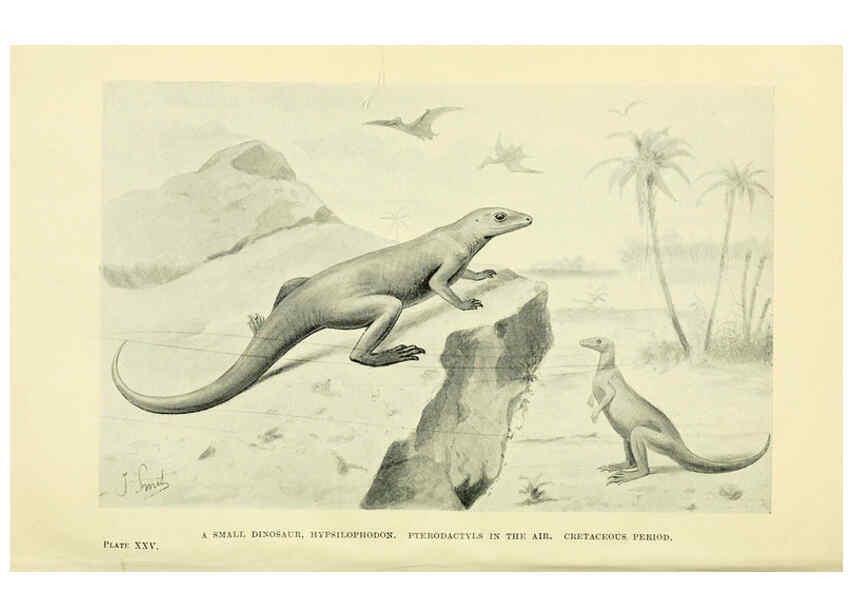 Reproducción/Reproduction 6288817134: Extinct monsters and creatures of other days London :Chapman & Hall,1910