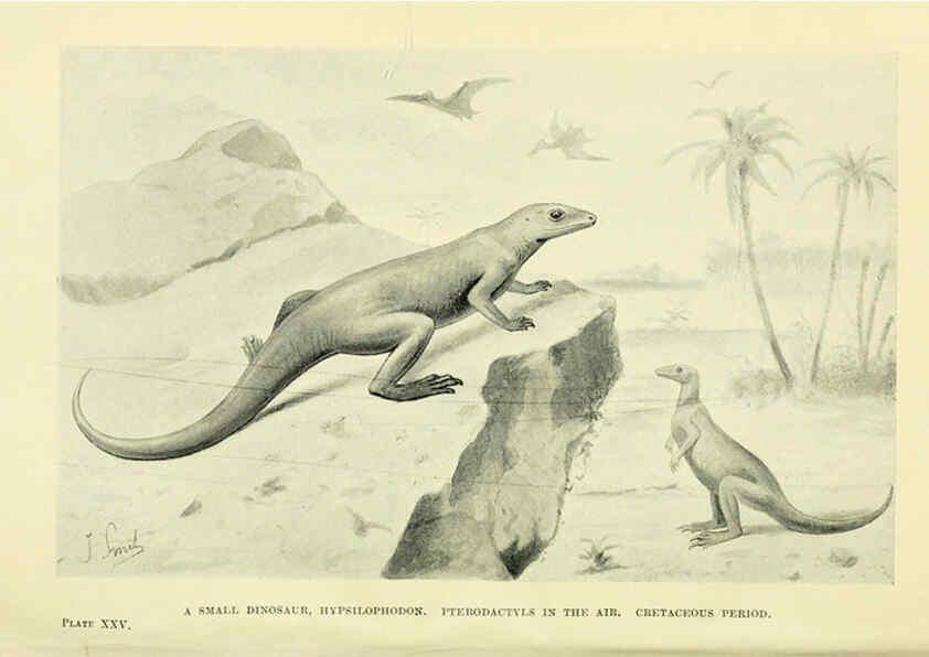 Reproducción/Reproduction 6288817134: Extinct monsters and creatures of other days London :Chapman & Hall,1910