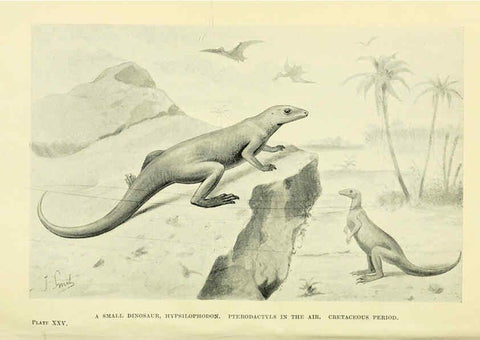 Reproducción/Reproduction 6288817134: Extinct monsters and creatures of other days London :Chapman & Hall,1910