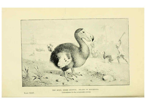 Reproducción/Reproduction 6288298609: Extinct monsters and creatures of other days London :Chapman & Hall,1910
