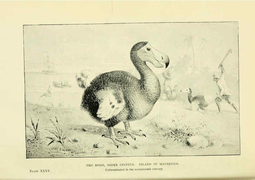 Reproducción/Reproduction 6288298609: Extinct monsters and creatures of other days London :Chapman & Hall,1910