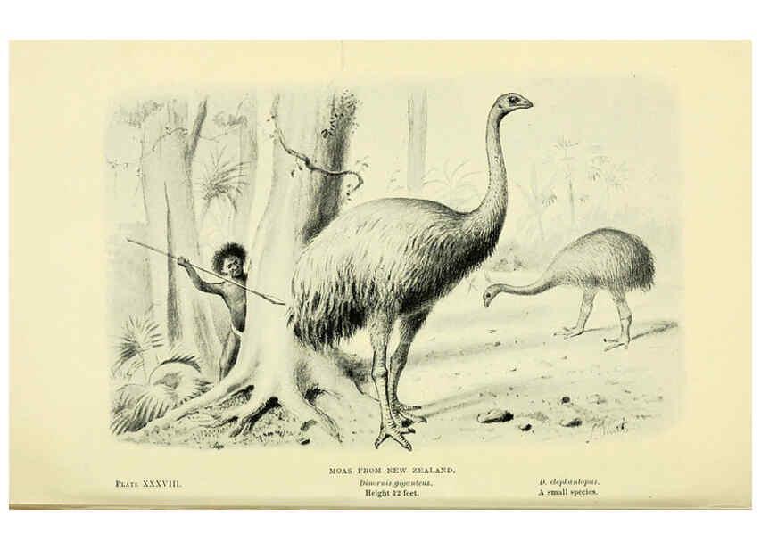Reproducción/Reproduction 6288819626: Extinct monsters and creatures of other days London :Chapman & Hall,1910