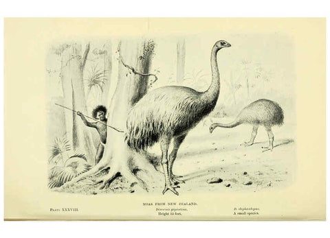 Reproducción/Reproduction 6288819626: Extinct monsters and creatures of other days London :Chapman & Hall,1910