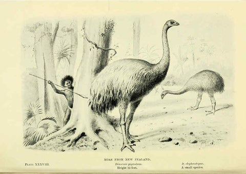 Reproducción/Reproduction 6288819626: Extinct monsters and creatures of other days London :Chapman & Hall,1910