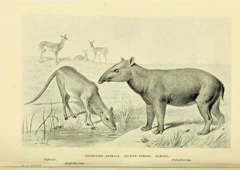 Reproducción/Reproduction 6288299303: Extinct monsters and creatures of other days London :Chapman & Hall,1910