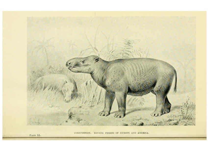 Reproducción/Reproduction 6288299477: Extinct monsters and creatures of other days London :Chapman & Hall,1910