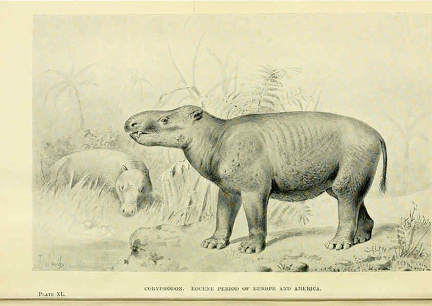 Reproducción/Reproduction 6288299477: Extinct monsters and creatures of other days London :Chapman & Hall,1910