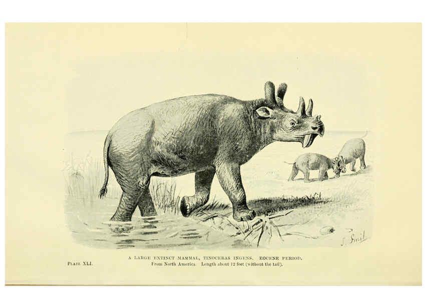 Reproducción/Reproduction 6288299649: Extinct monsters and creatures of other days London :Chapman & Hall,1910