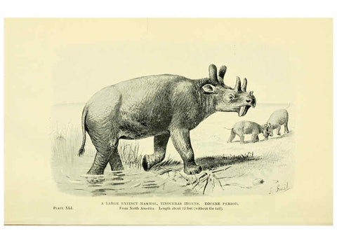 Reproducción/Reproduction 6288299649: Extinct monsters and creatures of other days London :Chapman & Hall,1910