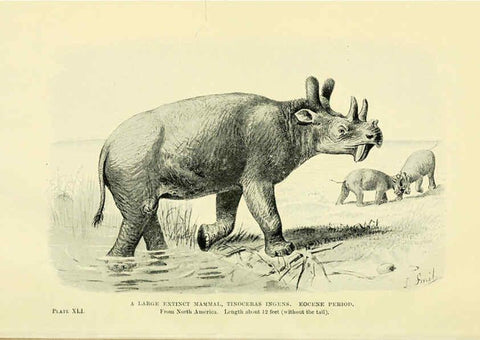 Reproducción/Reproduction 6288299649: Extinct monsters and creatures of other days London :Chapman & Hall,1910