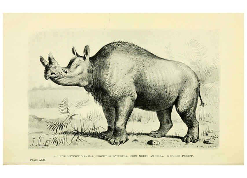 Reproducción/Reproduction 6288299839: Extinct monsters and creatures of other days London :Chapman & Hall,1910