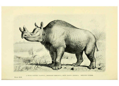 Reproducción/Reproduction 6288299839: Extinct monsters and creatures of other days London :Chapman & Hall,1910