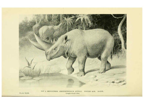 Reproducción/Reproduction 6288820396: Extinct monsters and creatures of other days London :Chapman & Hall,1910