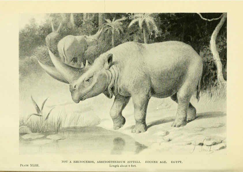 Reproducción/Reproduction 6288820396: Extinct monsters and creatures of other days London :Chapman & Hall,1910