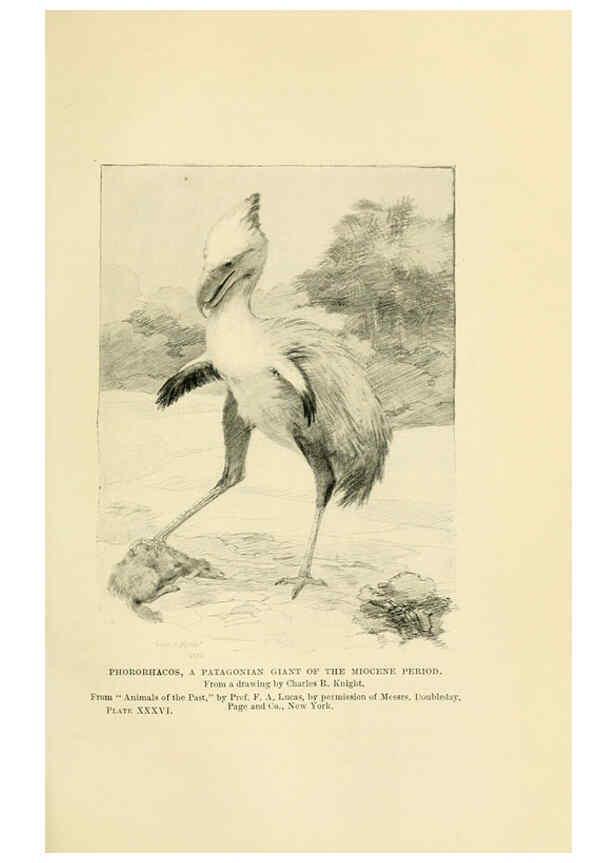 Reproducción/Reproduction 6288298775: Extinct monsters and creatures of other days London :Chapman & Hall,1910