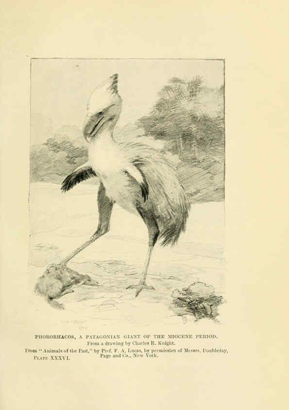 Reproducción/Reproduction 6288298775: Extinct monsters and creatures of other days London :Chapman & Hall,1910