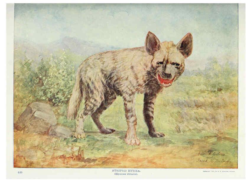 Reproducción/Reproduction 6276952350: Nature neighbors. v.5. Chicago,American Audobon association[c1914] 