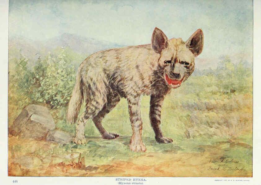 Reproducción/Reproduction 6276952350: Nature neighbors. v.5. Chicago,American Audobon association[c1914] 