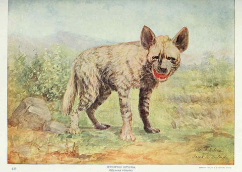 Reproducción/Reproduction 6276952350: Nature neighbors. v.5. Chicago,American Audobon association[c1914] 