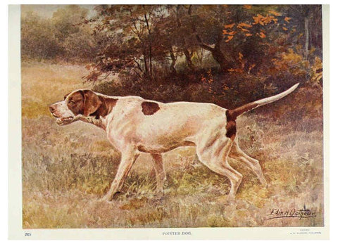 Reproducción/Reproduction 6276957284: Nature neighbors. v.5. Chicago,American Audobon association[c1914] 