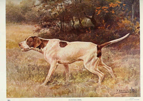 Reproducción/Reproduction 6276957284: Nature neighbors. v.5. Chicago,American Audobon association[c1914] 