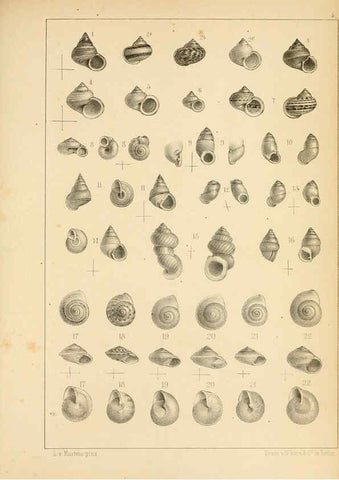 Reproducción/Reproduction 6285631841: Die Preussische expedition nach Ost-Asien. Bd.2. Berlin :Königlichen geheimen ober-hofbuchdruckerei (R. v. Decker),1867-1876