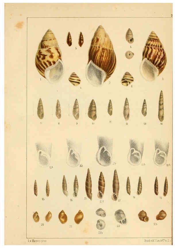Reproducción/Reproduction 6285634615: Die Preussische expedition nach Ost-Asien. Bd.2. Berlin :Königlichen geheimen ober-hofbuchdruckerei (R. v. Decker),1867-1876