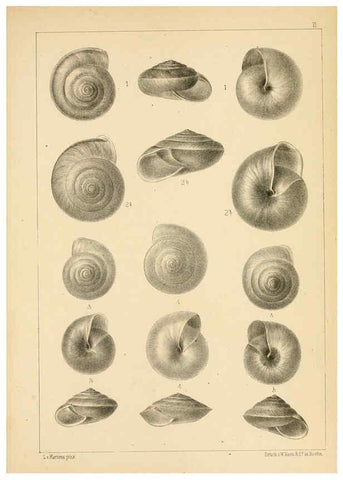 Reproducción/Reproduction 6286154110: Die Preussische expedition nach Ost-Asien. Bd.2. Berlin :Königlichen geheimen ober-hofbuchdruckerei (R. v. Decker),1867-1876