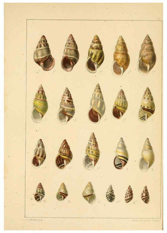 Reproducción/Reproduction 6285634461: Die Preussische expedition nach Ost-Asien. Bd.2. Berlin :Königlichen geheimen ober-hofbuchdruckerei (R. v. Decker),1867-1876