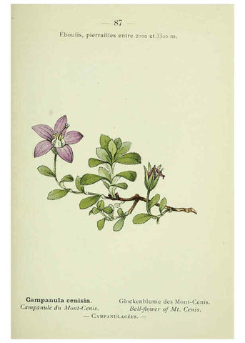 Reproducción/Reproduction 6298286815: Nouvelle flore coloriée de poche des Alpes et des Pyrénées. v.1. Paris,Klincksieck,1906-1912