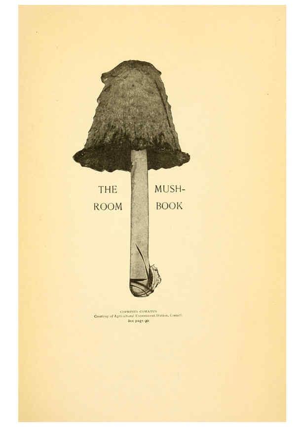 Reproducción/Reproduction 6289374630: The mushroom book Garden City, N.Y. :Doubleday, Page,1920