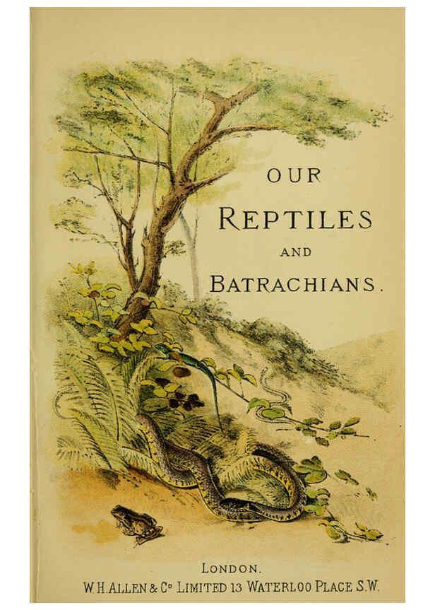 Reproducción/Reproduction 6298195591: Our reptiles and batrachians London,W. H. Allen & co., limited,1893