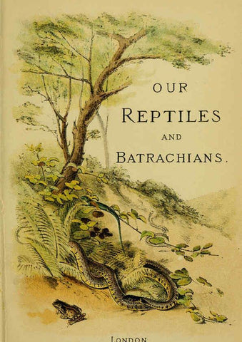 Reproducción/Reproduction 6298195591: Our reptiles and batrachians London,W. H. Allen & co., limited,1893