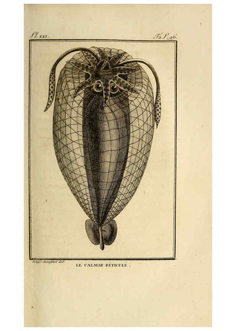 Reproducción/Reproduction 6260480145: Histoire naturelle, générale et particuliere, des mollusques, animaux sans vertèbres et a sang blanc. T.2. Paris,L'Imprimerie de F. Dufart,An X-XIII [1802-1805]