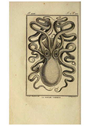 Reproducción/Reproduction 6261007266: Histoire naturelle, générale et particuliere, des mollusques, animaux sans vertèbres et a sang blanc. T.2. Paris,L'Imprimerie de F. Dufart,An X-XIII [1802-1805]