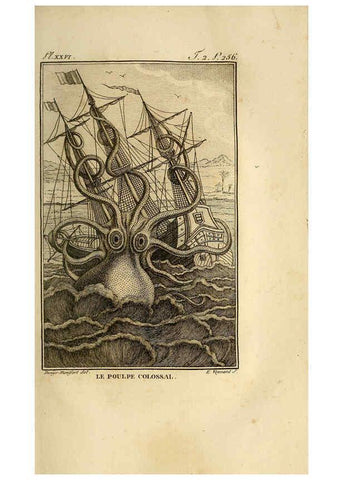 Reproducción/Reproduction 6261008252: Histoire naturelle, générale et particuliere, des mollusques, animaux sans vertèbres et a sang blanc. T.2. Paris,L'Imprimerie de F. Dufart,An X-XIII [1802-1805]