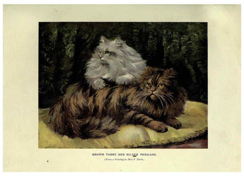 Reproducción/Reproduction 6263033095: The book of the cat London,Cassell and company, limited,1903