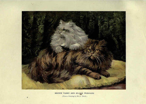 Reproducción/Reproduction 6263033095: The book of the cat London,Cassell and company, limited,1903