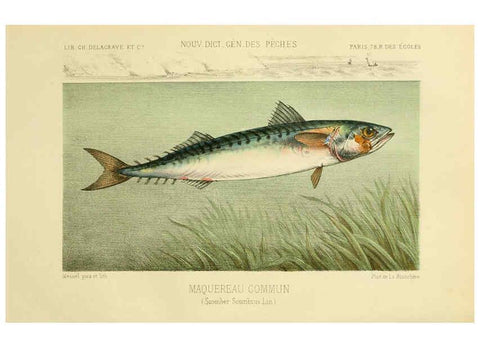 Reproducción/Reproduction 6267237222: La Pêche et les poissons Paris :C. Delagrave et cie,1868