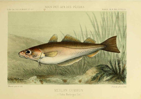 Reproducción/Reproduction 6266710875: La Pêche et les poissons Paris :C. Delagrave et cie,1868